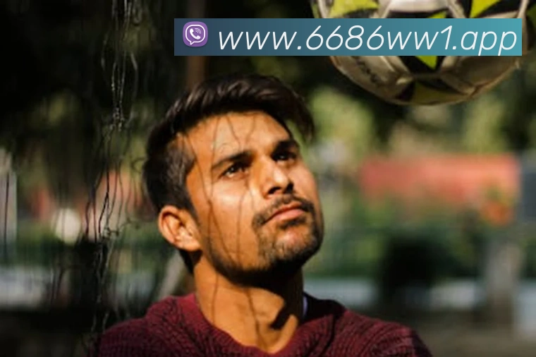 数据分析功能